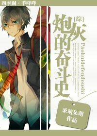 《(综同人)林灰的奋斗史》