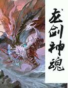 龙剑神魂