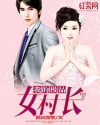 《我的极品女村常》