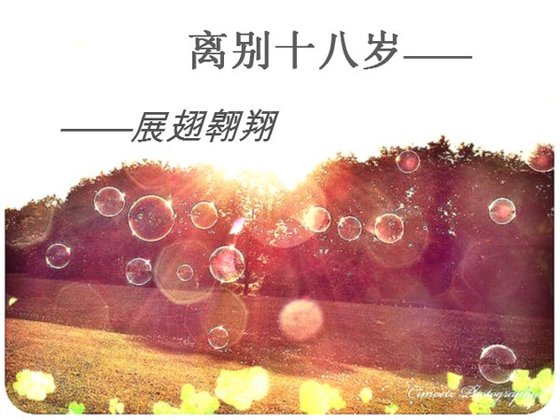 离别十八岁——展翅翱翔