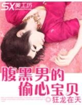 腹黑总裁的偷心宝贝