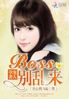 《孕宠袭人:BOSS,别乱来》