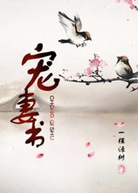 《宠妻书》