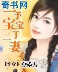 一手宝宝二手妻