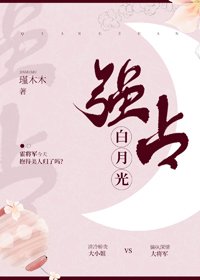 《强占沙月光》
