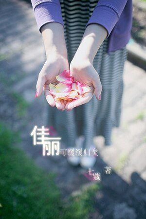 佳丽可缓缓归矣