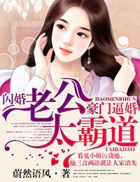 《豪门逼婚,闪婚老公太霸道》