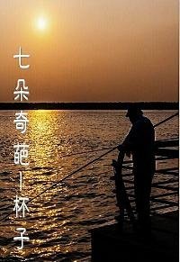 《七朵奇葩》