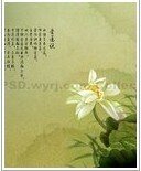 青春那颗熬伤的糖