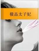 极品太子妃