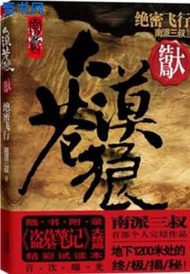 《大漠苍狼2:绝密飞行》