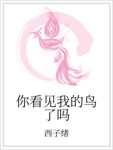 《你看见我的鸟了吗》