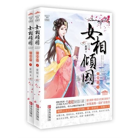 《税黑贤妻-女相倾国》