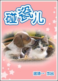 碰瓷儿