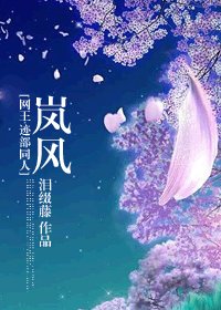 （网王＋花样同人）岚风