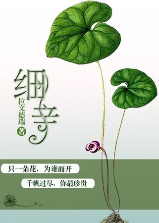 细辛(军旅)