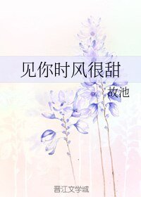 见你时风很甜