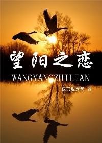 《望阳之恋/魔法师功掠记》