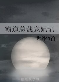 霸道总裁宠妃记