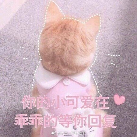 哥们，帮个忙