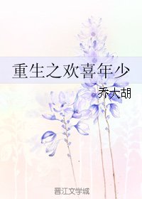重生之欢喜年少