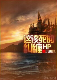 《(HP同人)HP 这该死的纠缠》