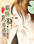 《霸情总裁追逃妻》