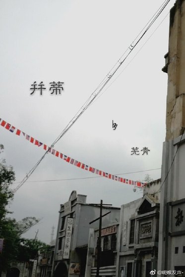 并蒂