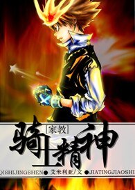 (家教同人)骑士精神