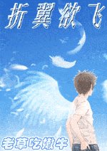 《折翼玉飞》