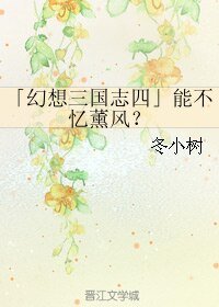《(幻想三国志4同人)能不忆薰风?》