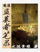 盗墓者笔录