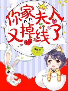大神,你家夫人又掉线了