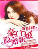 萌妻归来：豪门隐婚新娘