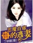 嚣张宝宝：恶魔首席的逃妻