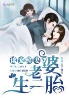 诱宠鲜妻:老婆,生二胎!