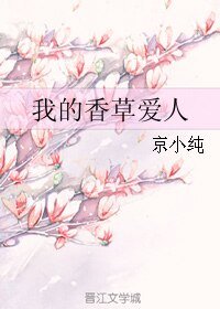《我的镶草唉人》