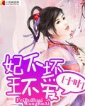 妃不坏，王不爱