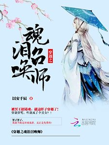 《穿越之陨泪召唤师》