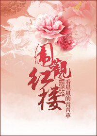 (红楼同人)围观红楼