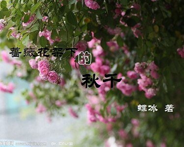 蔷薇花架下的秋千