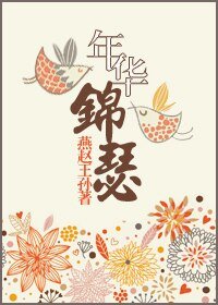 年华锦瑟
