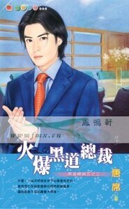 火爆黑道总裁（黑道总裁之三）