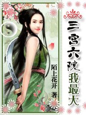 杀手穿越成女王：三宫六院我最大/我有三宫六院