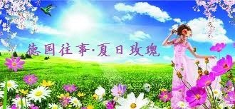 德国往事·夏日玫瑰