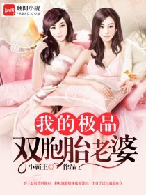 《我的极品双胞胎老婆》