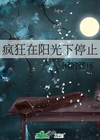 疯狂在阳光下停止