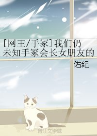 （BG/网王同人）[网王/手冢]我们仍未知手冢会长女朋友的名字