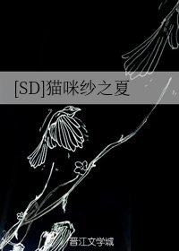 《(BG/SD同人)爱上灌篮的你》