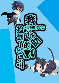 《(BG/无限同人)无限之我捡到一只钢佐助的猫》